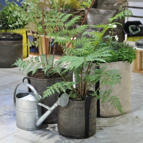 Bacsac Pot 10 liter plant Bacsac Pot 10 liter plant
