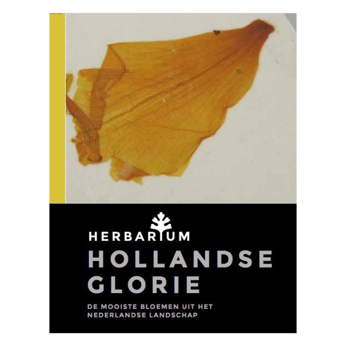 Notitieboek Herbarium Hollands glorie