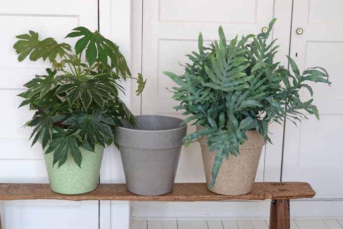 Zuperzozial Jungle Fever Bloempot xl Pepper Grey planten