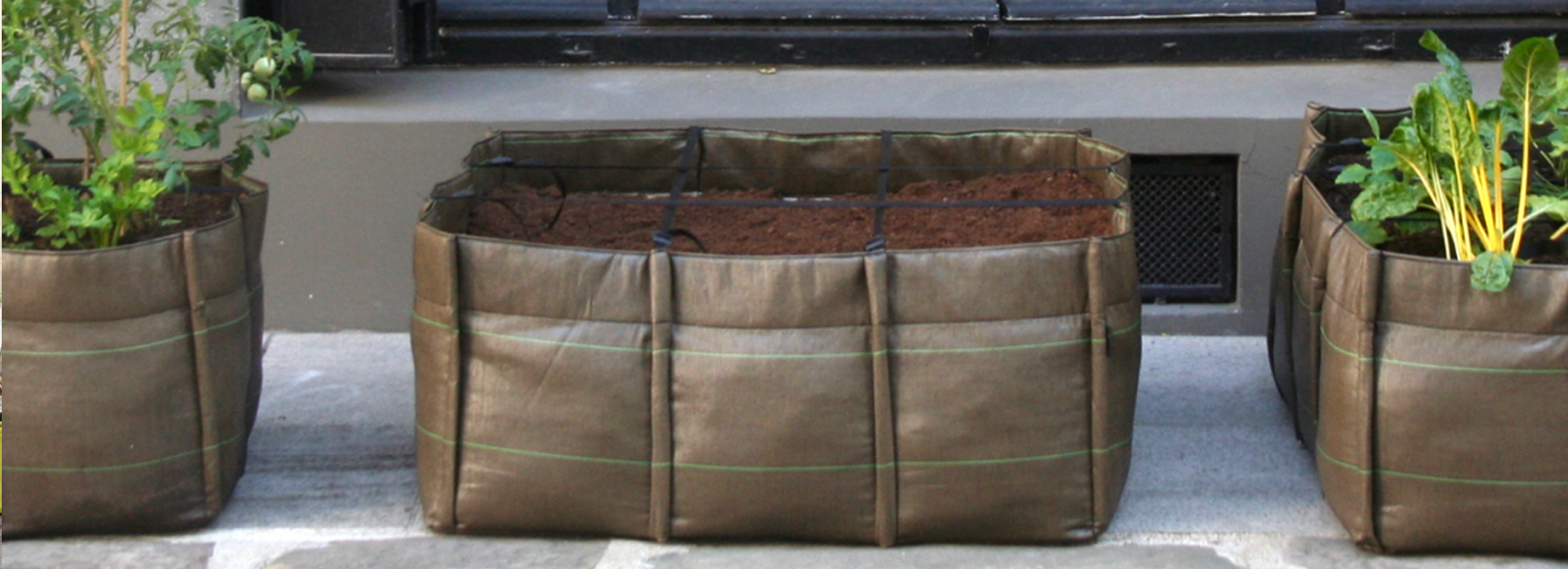 Bacsac moestuin