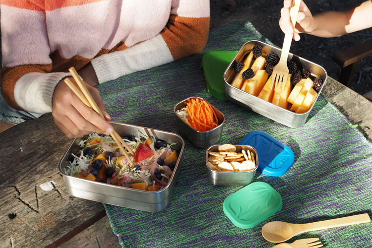 Ecolunchbox lunchbox vakjes mobiel